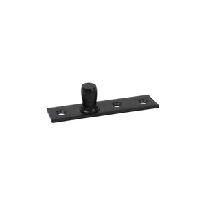 PF202 : Stainsteel Steel Top Pivot,  Fit For Top Patch PF020.